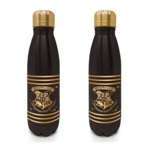 Pyramid International - Botella de viaje de metal de Harry Potter con